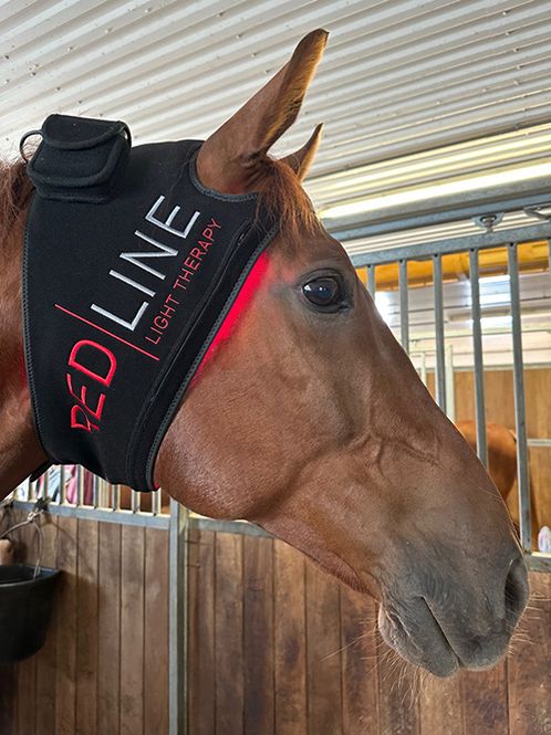 Hovedbilde Redline poll pad
