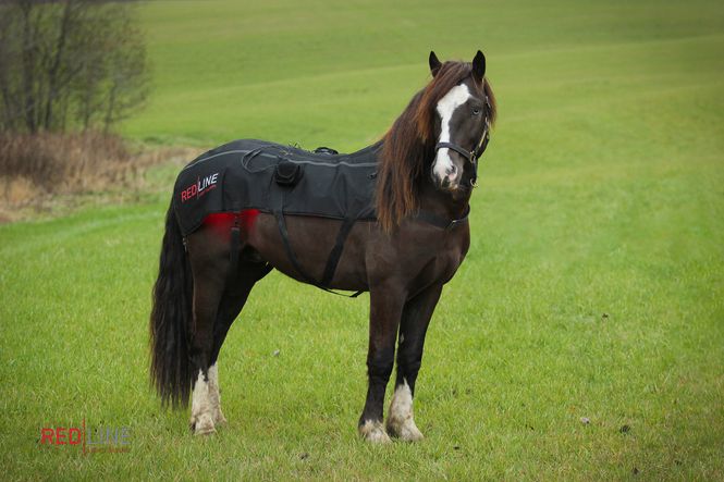 Hovedbilde Redline pad TopLine